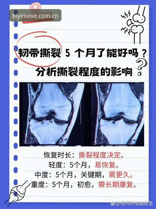施洛特贝克韧带撕裂：必一运动平台球迷的伤停应对教程